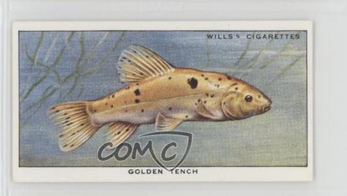 1950 ho wills pond - wd,