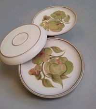 Vintage Denby Troubadour 10