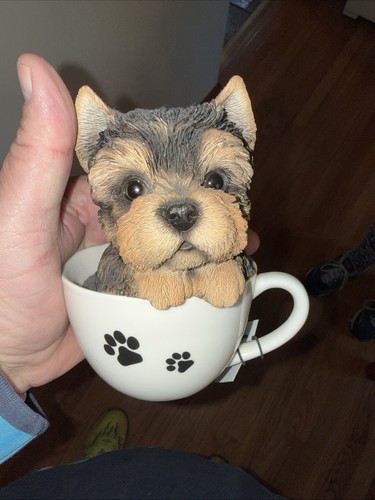 Realistic adorable yorkie - 2,