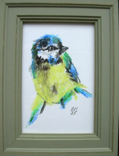 Titmouse original oil - titmouse,