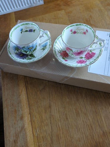 Hudson middleton teacup - x2,