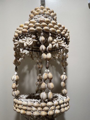 Sea shell cowrie vintage - sea,