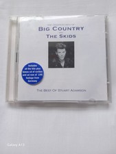 BIG COUNTRY AND THE SKIDS THE