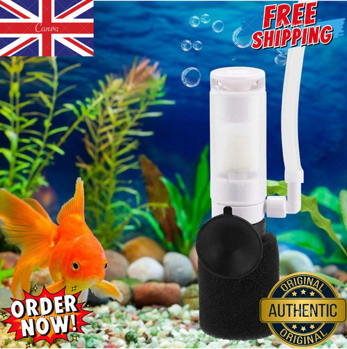 3in1 mini aquarium - fish, tank