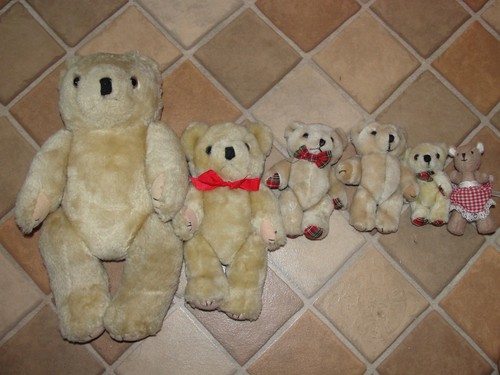 Teddy bears - teddy,