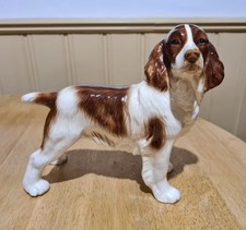 Vintage Springer Spaniel Dog
