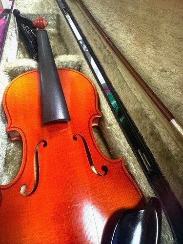 Suzuki violin 220 size 1 - suzuki,