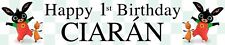 2 x Personalised Birthday Banners Bing Photo Option - Green or pink