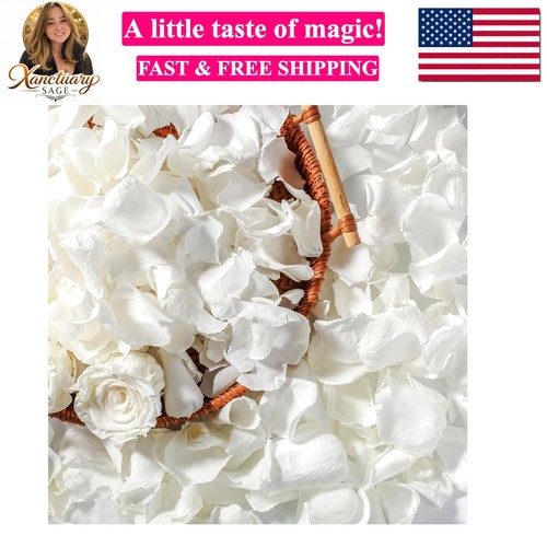 Real dried frozen preserved - dried, ,
