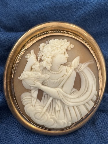 Late victorian shell - shell, cameo