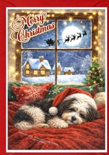 Havanese Dog Christmas Card