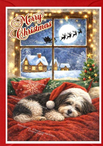 Havanese dog christmas card - dog,