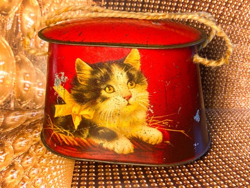 Kittens cats small red - red, cws