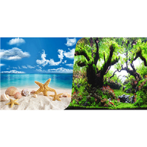 Seaview beach forest - /,