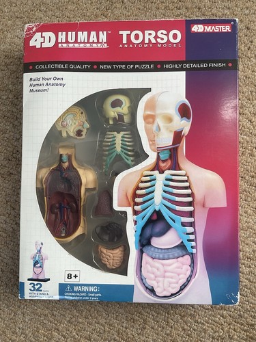 Vision human anatomy - vision,