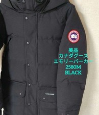 Good Condition Canada Goose