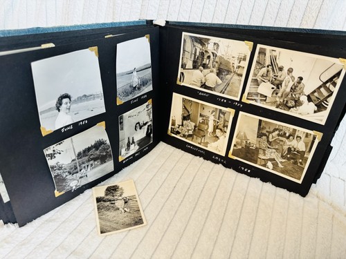Vintage black and white photo - white,