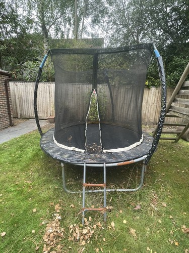 8ft trampoline kanga - kanga, premium