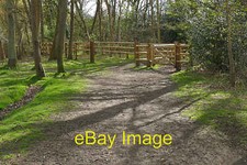 Photo 6x4 Cattle gate, Horsell