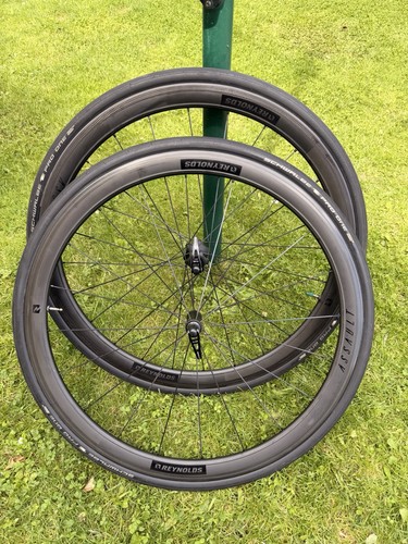 Reynolds assault carbon - assault,
