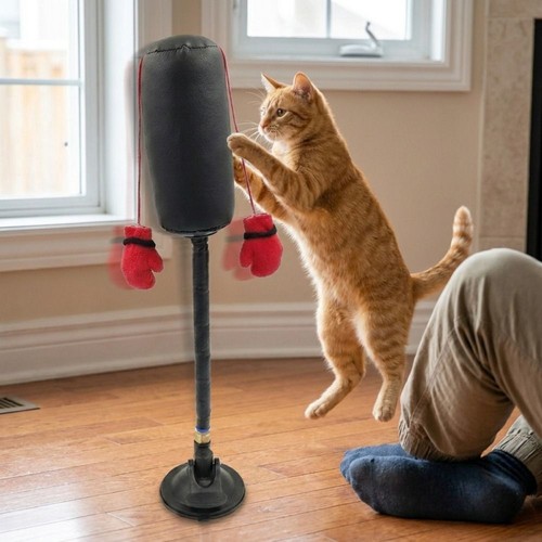 Scratch trainer cat boxing toy - scratch,