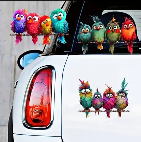3packs colourful crazy birds - colourful,