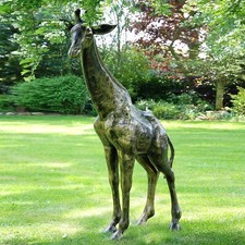 Wild Giraffe 205cm Bronze