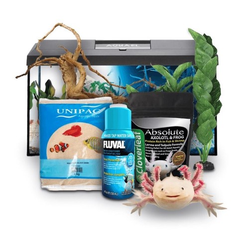 Swell reptiles axolotl - reptiles,