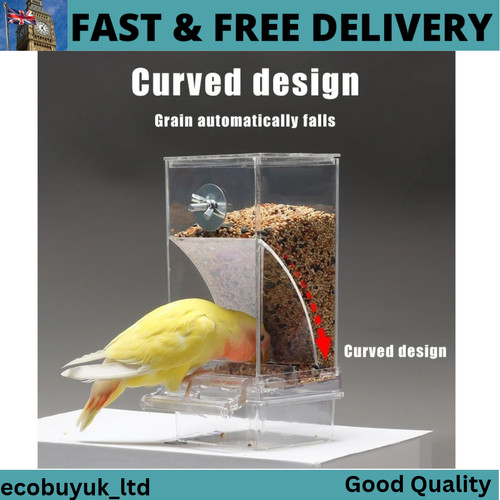 Automatic parrot seed feeder - automatic,