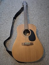 Vantage Hard Top Guitar