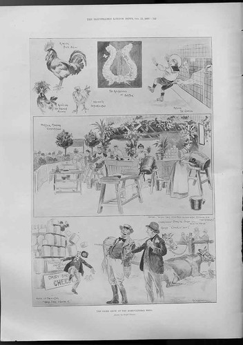 Original old antique print - old, the