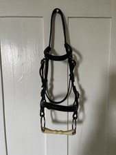 In Hand Showing Bridle Leather Brown.