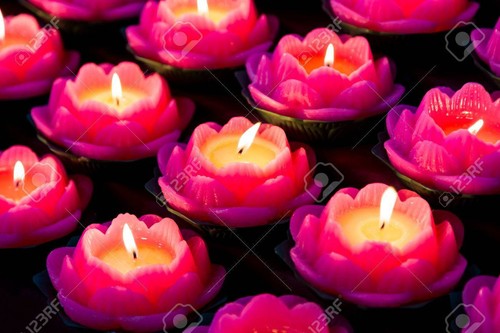 Pink lotus flower shaped - lotus, flower-shaped