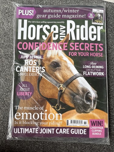 Horse and rider issue 677 - rider,