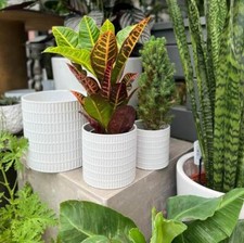 Various sizes glazed ceramic - various,