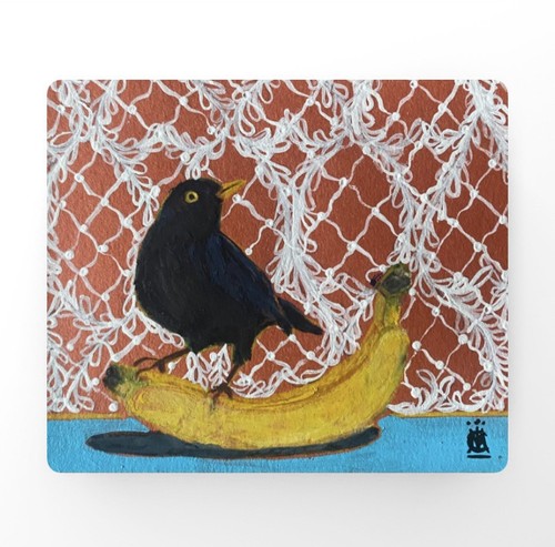 Curious blackbird fine - ‘curious, blackbird’,