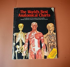The World’s Best Anatomical