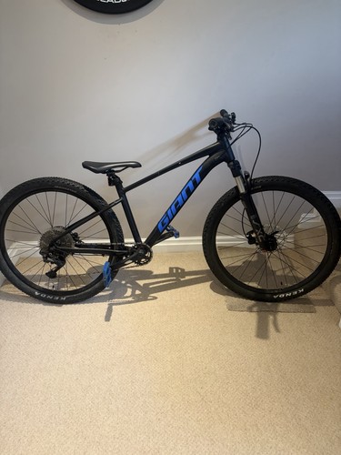 Giant talon mountain - giant, bike