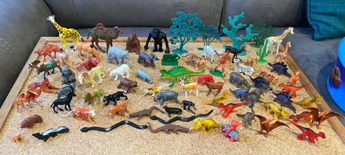 Wild safari zoo animals - wild,