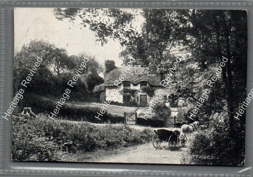 Vintage studland dorset old - vintage,