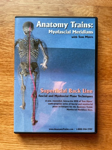 Anatomy trains myofascial - anatomy,