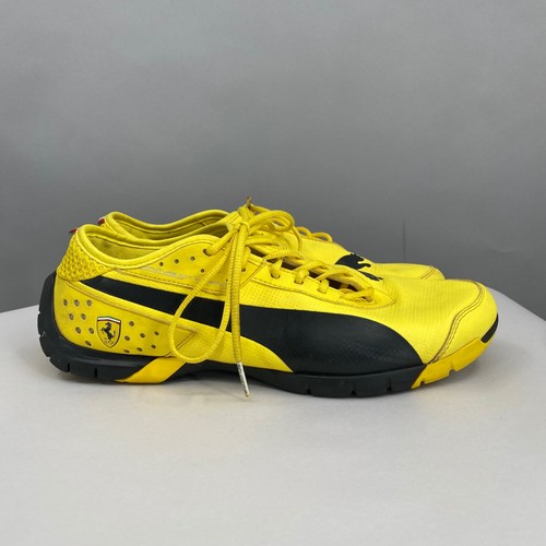 Puma future cat - puma,