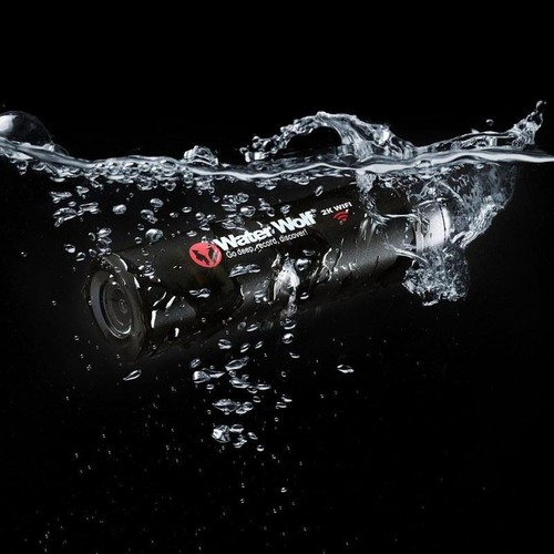 Water wolf wifi underwater - water,