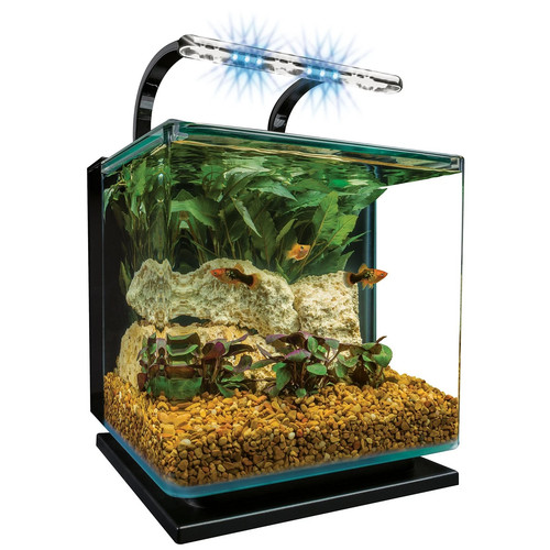 Tetra marineland contour - marineland, 5