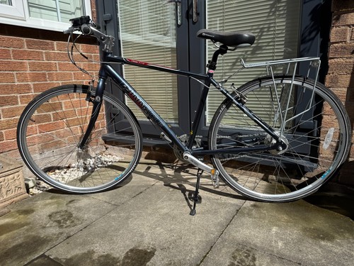 Gents evans pinnacle stratus - evans,