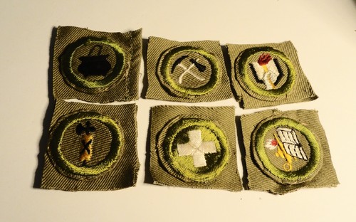 Six bsa merit badges - six,