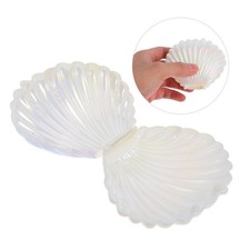 24pcs Seashell Jewelry Box