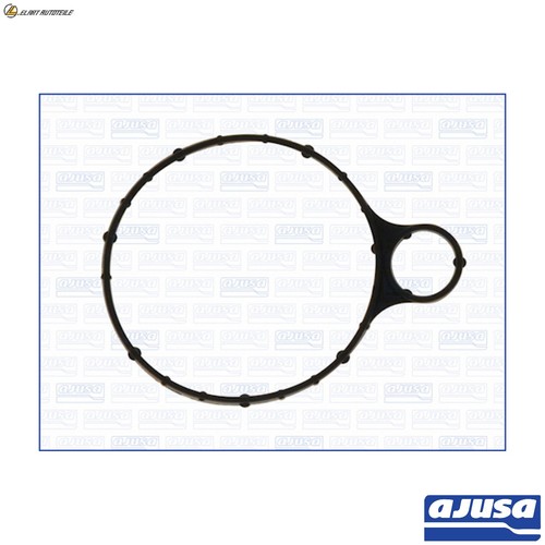 Vacuum pump gasket 01302500 - pump,