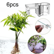 6 Pieces Aquarium Plant Holder