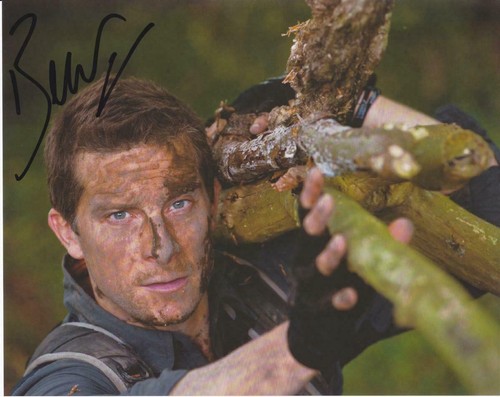 Bear grylls survivor expert - grylls, expert"